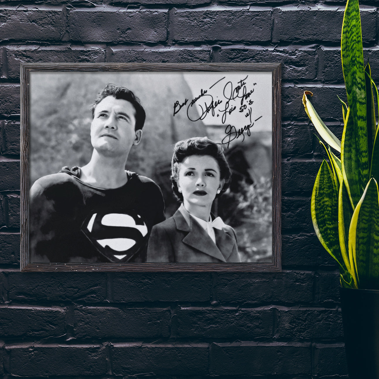 The Adventures of Superman TV