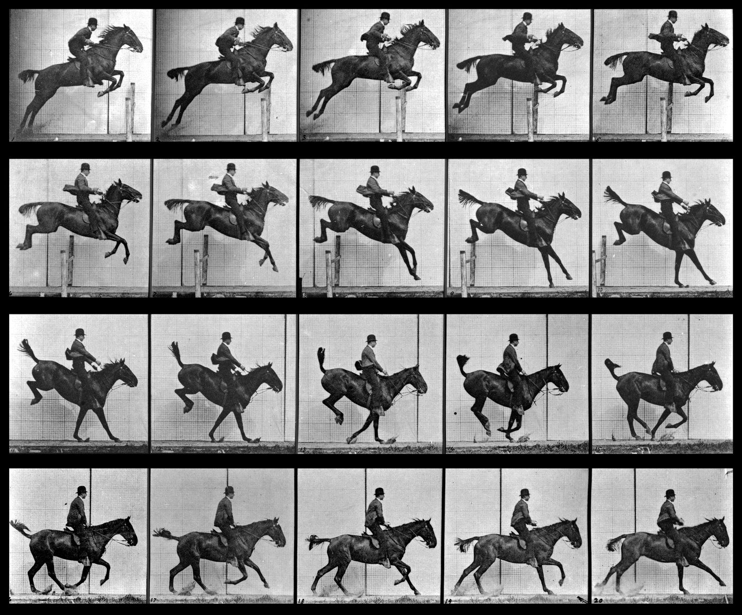 Horse Motion Study by Muybridge