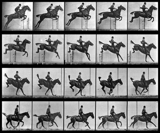 Horse Motion Study by Muybridge