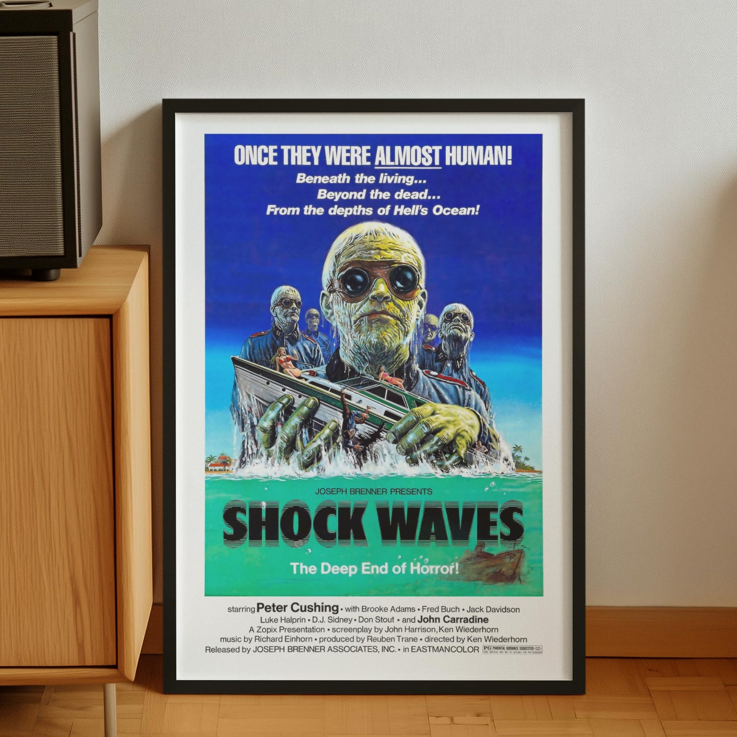 Shock Waves