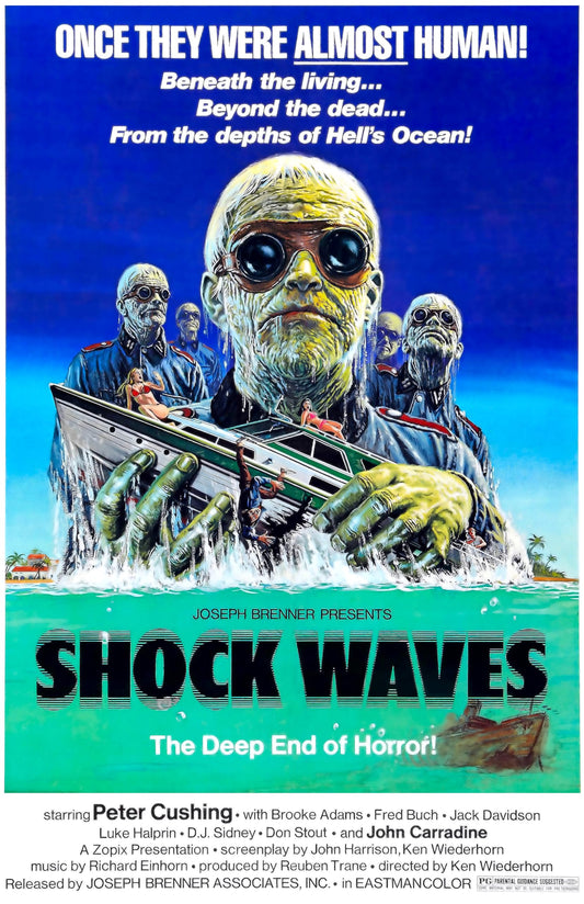 Shock Waves