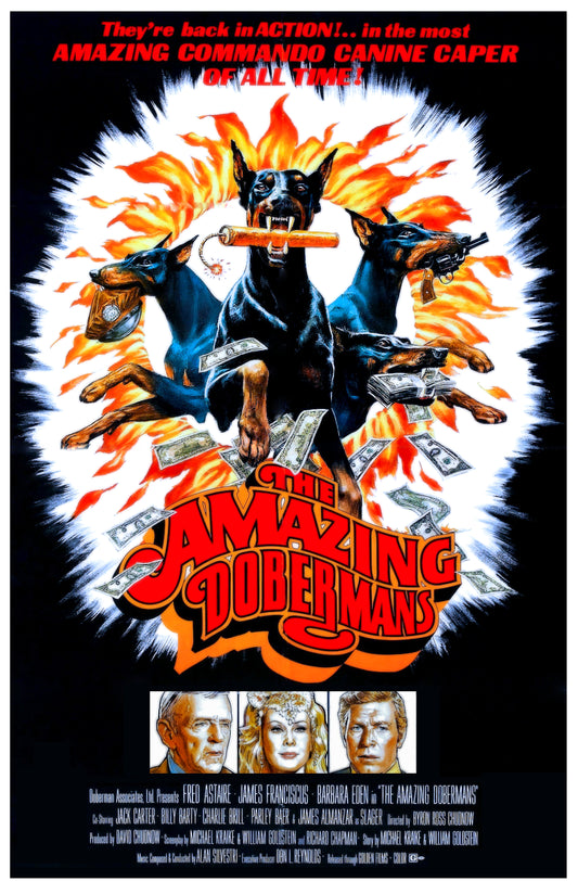 The Amazing Dobermans